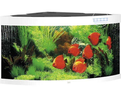 Aquarium juwel trigon 350 - juwel, mit
