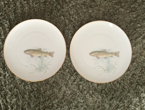 Hutschenreuther speiseteller - hutschenreuther,