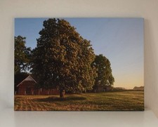 Wandbild Fotoleinwand