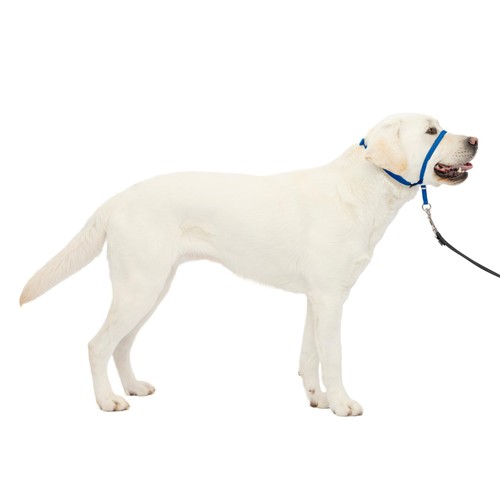 Petsafe gentle leader - petsafe,