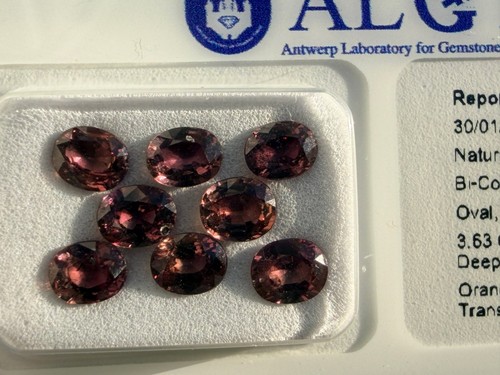 Vivid pink sapphires 3 63 - vivid, 3.63