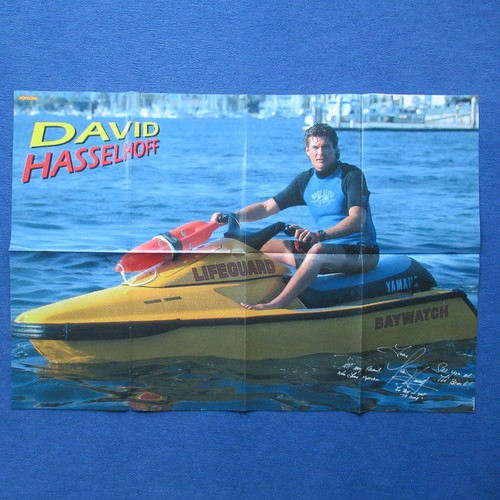 David hasselhoff poster - hasselhoff,