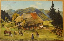 AK Schwarzwald Idylle 1924 Kühe Berghütte