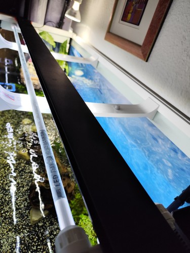 Juwel multilux led inkl day - juwel,