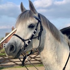 Perfeq Biothane Trek