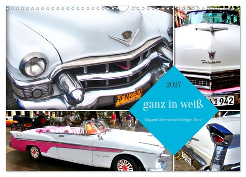 Ganz weiß elegante - weiß,