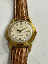 Родина (Rodina)"