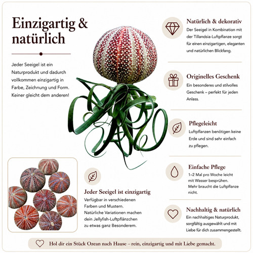 Wunderschöne quallen mit - quallen,