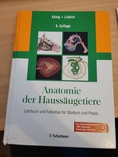 Anatomie der Haussäugetiere