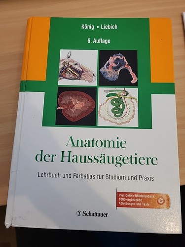 Anatomie der haussäugetiere - der,
