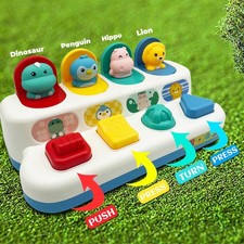 Baby Spielzeug Pop Up Activity