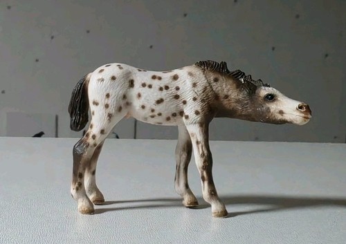 Schleich knabstrupper fohlen - schleich,