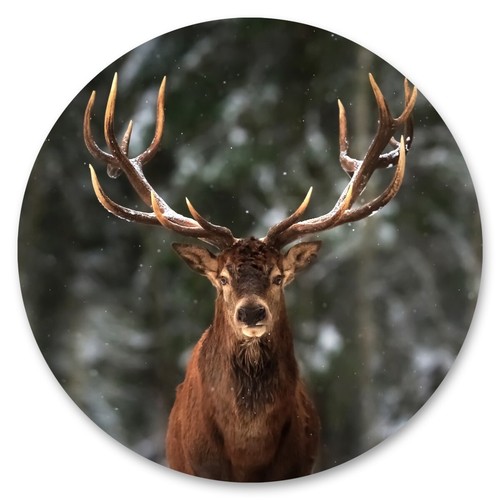 Sticker hirsche wald - hirsche,