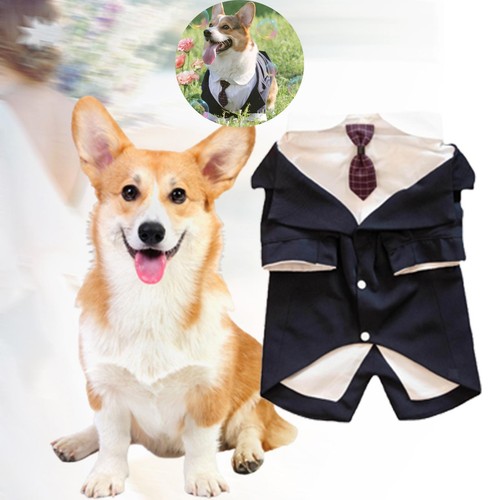 Hunde smoking hundeanzug - hunde, und