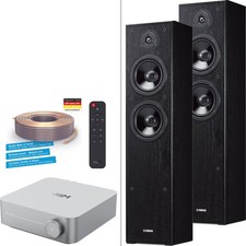 WiiM AMP Multiroom Streaming Stereoanlage Silber HDMI WiFi Bluetooth Set