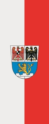 Fahne flagge erlangen - flagge, im