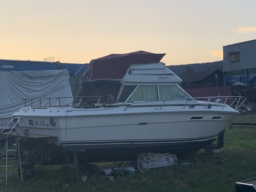 Sea ray 270 sedan bridge - sea,