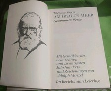Theodor-Storm: Am grauen Meer