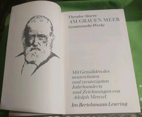 Theodor storm grauen meer - theodor-storm:, am