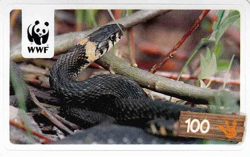 Rewe wwf tier abenteuer - rewe,