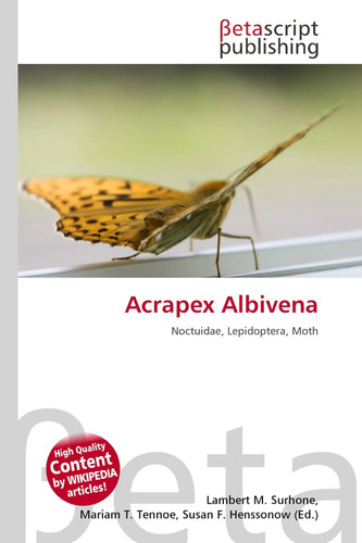 Acrapex albivena noctuidae - albivena,