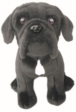 12 Zoll Cane Corso Teddy CANE