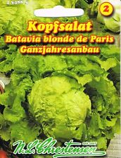 Kopfsalat 'Batavia blonde de