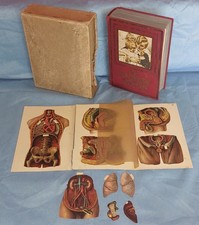 Antikes medizinbuch die - medizinbuch, "die