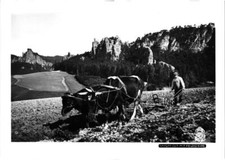 Gansfelsen mit Feldsteine, ca