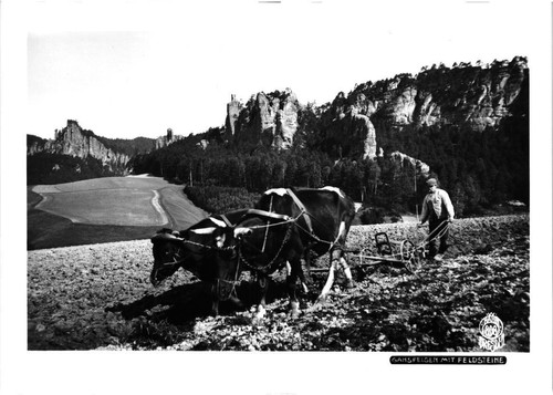 Gansfelsen mit feldsteine ca - gansfelsen,