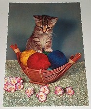 Alte 70er Jahre Krüger Kätzchen Katze Cat Tier Postkarte Ak Katzenpostkarte 