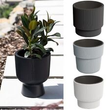 Blumentopf Blumenkübel