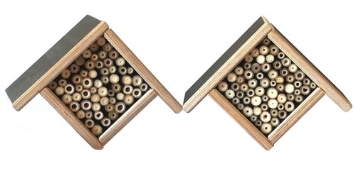 Bienenhotel wild bienen - bienenhotel,