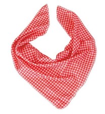 Fasching Kostüm Cowboy