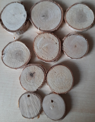10x echte astscheiben birke - 10x,