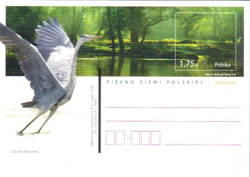 Polen ganzsache graureiher - ganzsache,