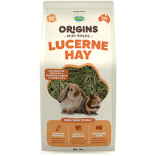 Meerschweinchen Kaninchen Heu