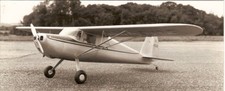 CESSNA 120 (Spannweite 1575