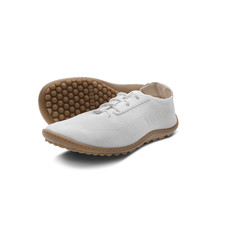 leguano Advice Dr. Rudolph