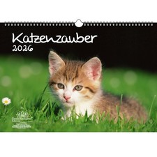 Katzenzauber DIN A3 Kalender