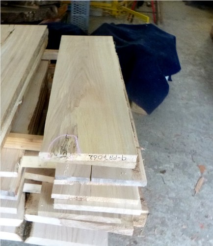 Pappel pappelbrett holz - pappel,