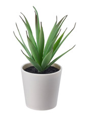 IKEA FEJKA Künstliche Topfpflanze mit Topf, In/Outdoor Sukkulente, 6 cm, 2 23...