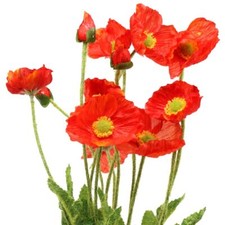 Mohnblume Orange Kunstblume