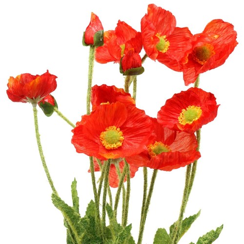 Mohnblume orange kunstblume - mohnblume,