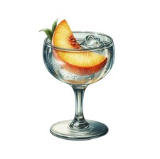 Summer Spritz Cocktail