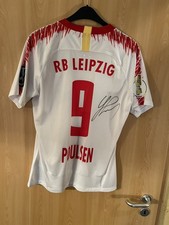 Red Bull Leipzig Poulsen 9 MW