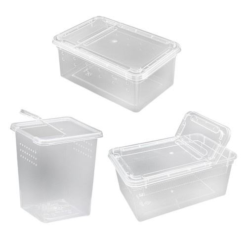 Futterbox für reptilien - futterbox,