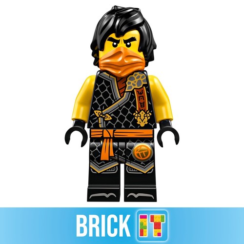 Lego ninjago cole - lego, minifigur