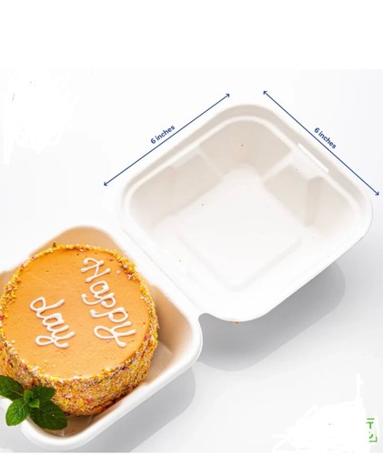 50 bagasse - 6”x6”,