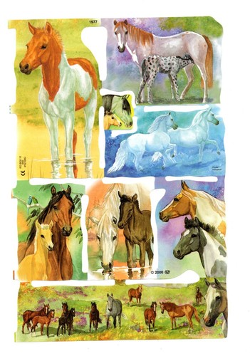 Mlp 1977 glanzbilder - -,